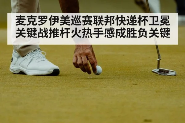麦克罗伊美巡赛联邦快递杯卫冕关键战推杆火热手感成胜负关键