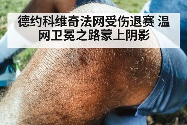 德约科维奇法网受伤退赛 温网卫冕之路蒙上阴影